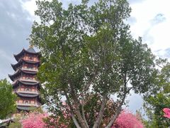 -厦门方特东方神画