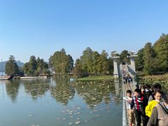 -东湖落雁景区