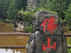 -茅兰沟国家森林公园