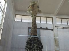 android_upload_pic-石家庄市动物园