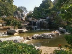 -东莞植物园