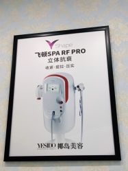 -YESIDO椰岛造型