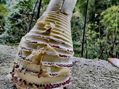 -水洞边·湖南农家土菜