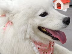 -时尚天河商业广场