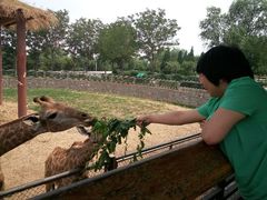 android_upload_pic-石家庄市动物园