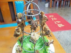 -兰州老马家族食府(康庄总店)