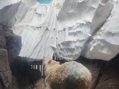 -海合安武汉极地海洋公园