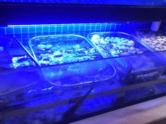 -阪尚皇·原切牛排·烤肉火锅自助(北京路店)