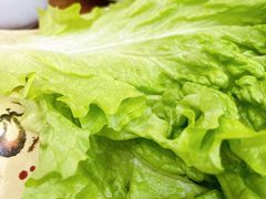 -延成苑韩式烤肉店(长春道店)