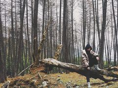 -硗碛藏寨·神木垒景区