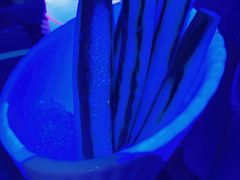 -MOSSO音乐酒吧·Live House(南京西路店)
