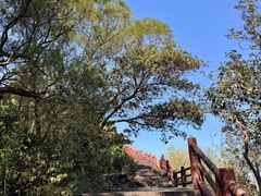 -广州莲花山旅游区