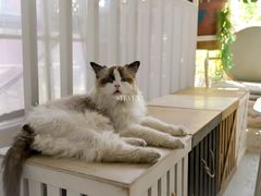 -小时光咖啡馆(北锣鼓巷店)
