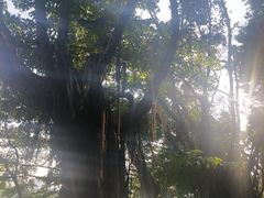 -南宁南湖公园