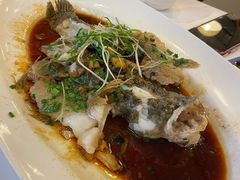 清蒸笋壳鱼-博多新记·粤菜(复兴店)