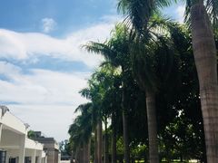 -厦门国家会计学院