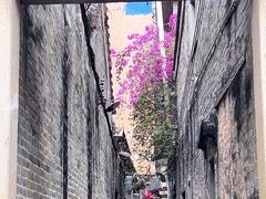-小洲村