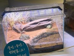 -中国湿地博物馆