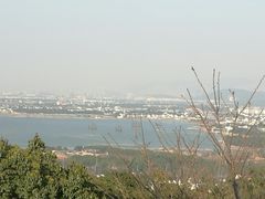 -香雪海