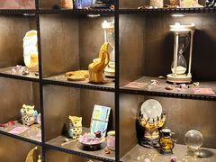 -雪灵魔法世界SHELLY’S TAROT(大良桂畔里店)
