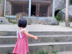 -大围山国家森林公园