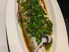 -新雅粤菜馆(南京东路店)