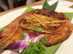 -紫滇源云南生态菜(丹凤街店)