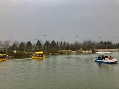 -大槐树寻根祭祖园