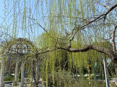 -武汉园博园(武汉自然博物馆)