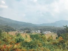 -塔川景区