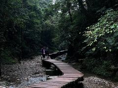 -青城山