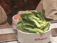 -龍歌自助小火锅(雨花台江南虹悦城店)
