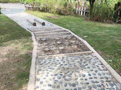 -福田红树林生态公园