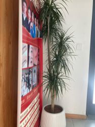 -芊冉•美甲美睫纹绣