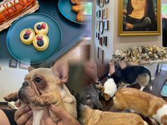 -柯斗斗主题餐厅·狗咖·围炉煮茶·茶饮(国瑞升平里店)