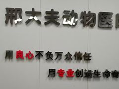 -邢大夫动物医院