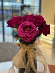 -YesYoga瑜伽普拉提塑形体雕馆