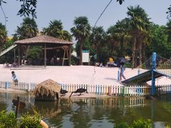 -苏州太湖西山岛开心农场