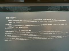 -云阿蛮云南生烫牛肉米线(奉贤路店)