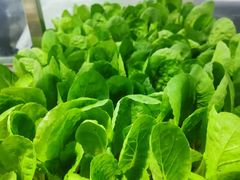 -阳光山水江湖菜馆(西山龙门店)
