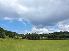 -海南热带雨林国家公园吊罗山景区