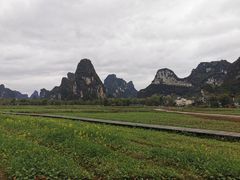 -明仕田园
