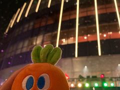 -交通银行前滩31演艺中心