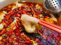 黑豆花水煮鱼-舞辣辣·川菜·黑豆花水煮鱼(卓悦汇店)