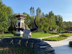 -武清南湖绿博园