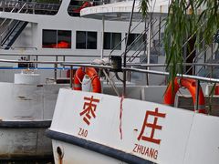 -微山湖红荷湿地景区