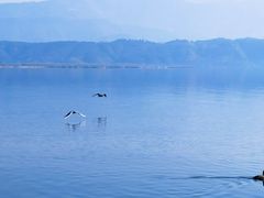 -西昌邛海湾柏樾酒店(原邛海湾柏栎度假酒店)