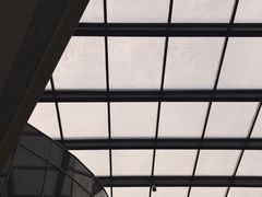 -首都医科大学附属北京天坛医院