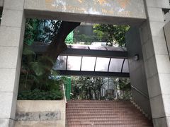 -香港大学