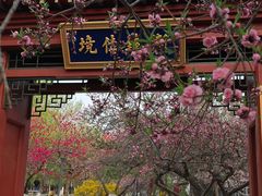 -桃花堤公园